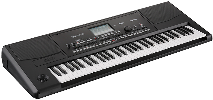 Korg PA-300