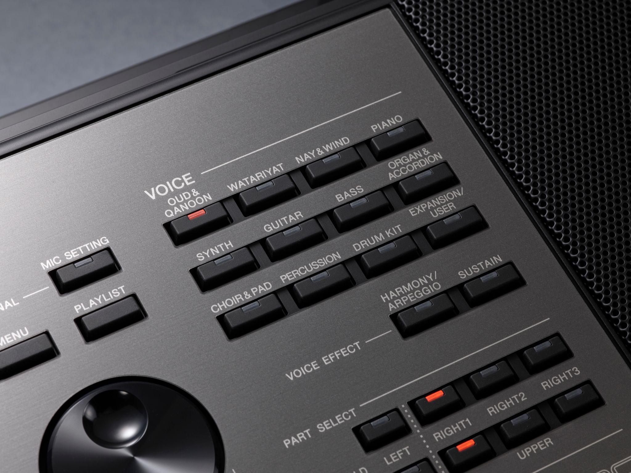 Yamaha PSR-A5000